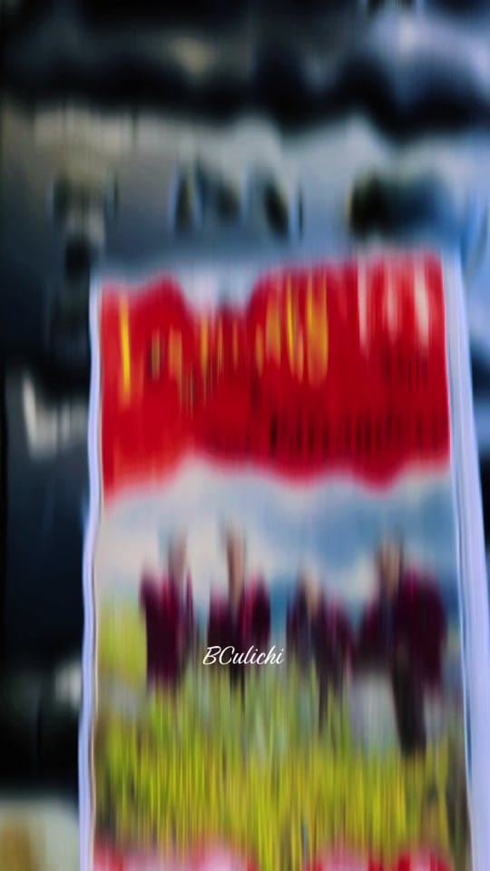 Post 5 by BCulichi on TikTok (video)
