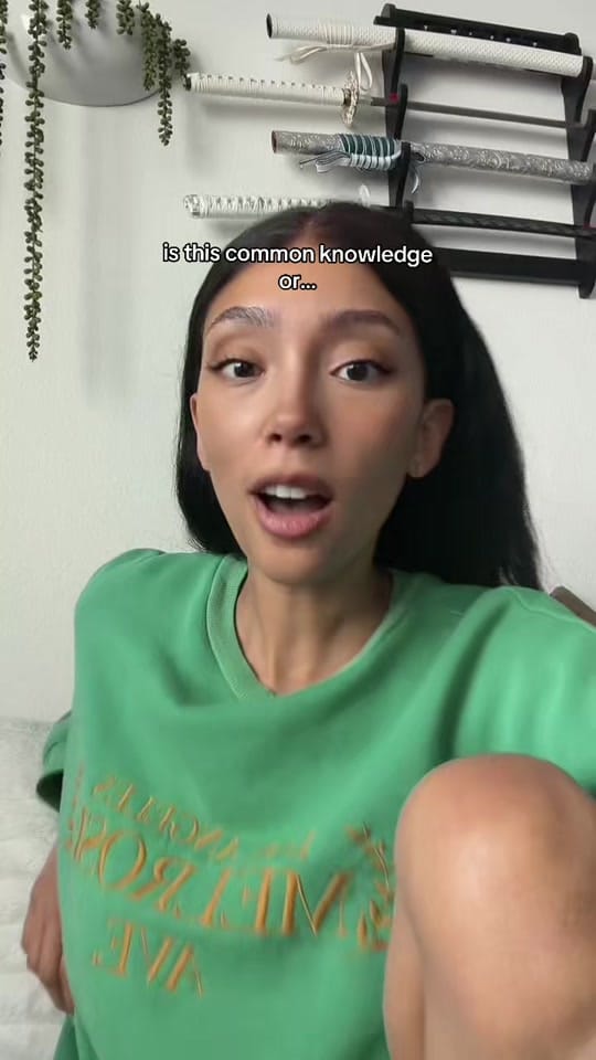 Post 3 by Brittany Panzer on TikTok (video)
