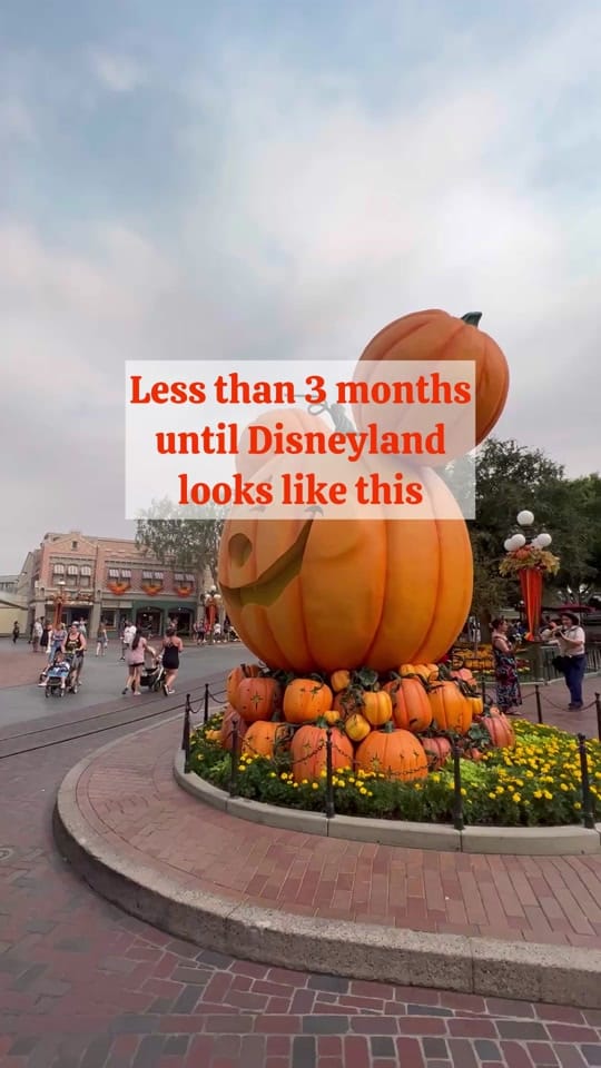 Post 2 by Brittany—Say Disney on TikTok (video)