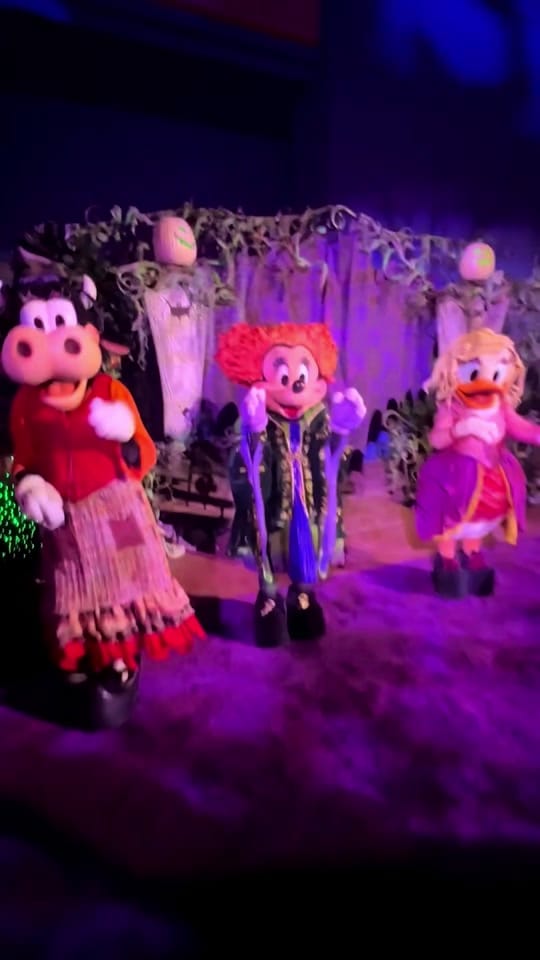 Post 5 by Brittany—Say Disney on TikTok (video)