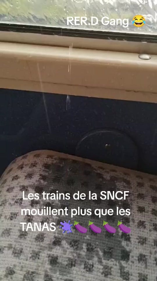 Post 2 by Flow in paris on TikTok (video)
