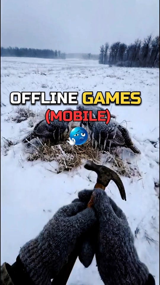 Post 4 by iREGAN GAMING on TikTok (video)