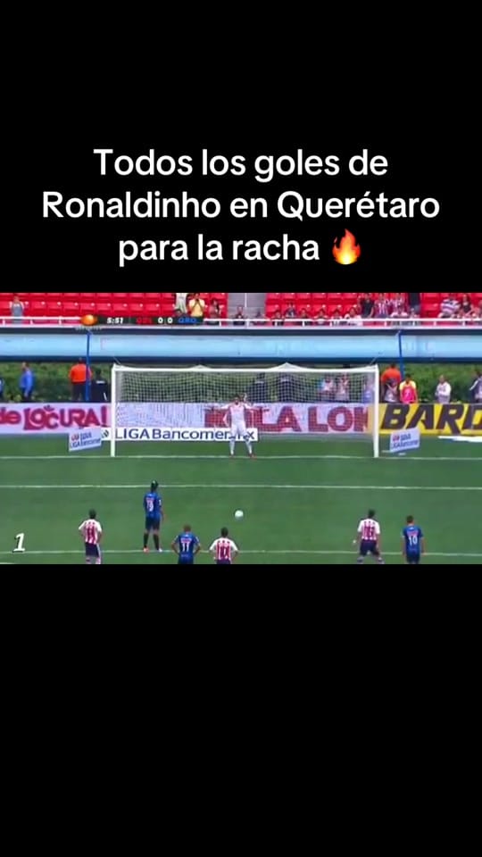 Post 8 by La casa de los gallos 🏠🐔 on TikTok (video)