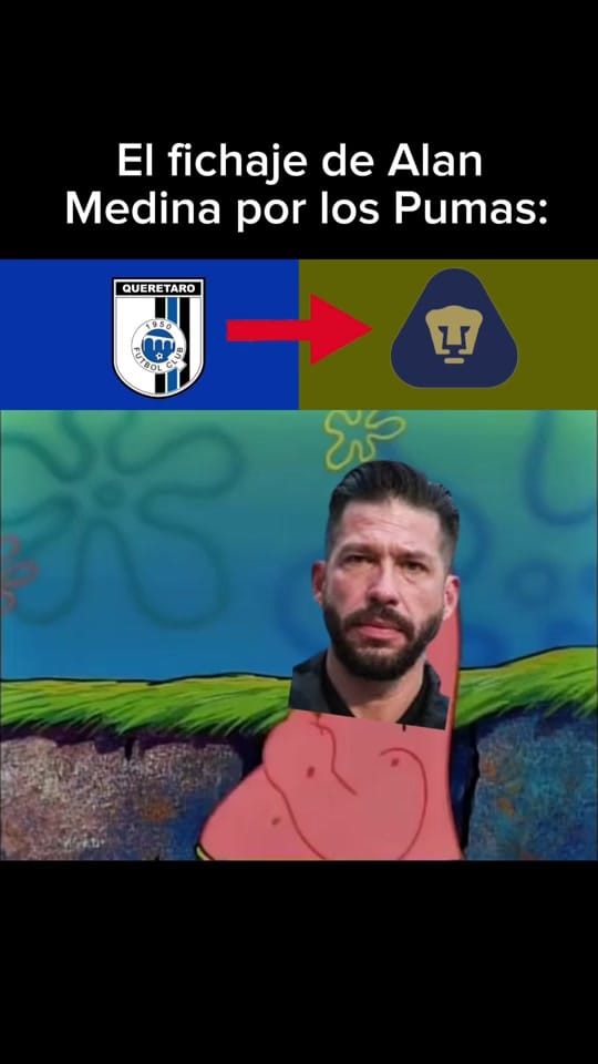 Post 4 by La casa de los gallos 🏠🐔 on TikTok (video)