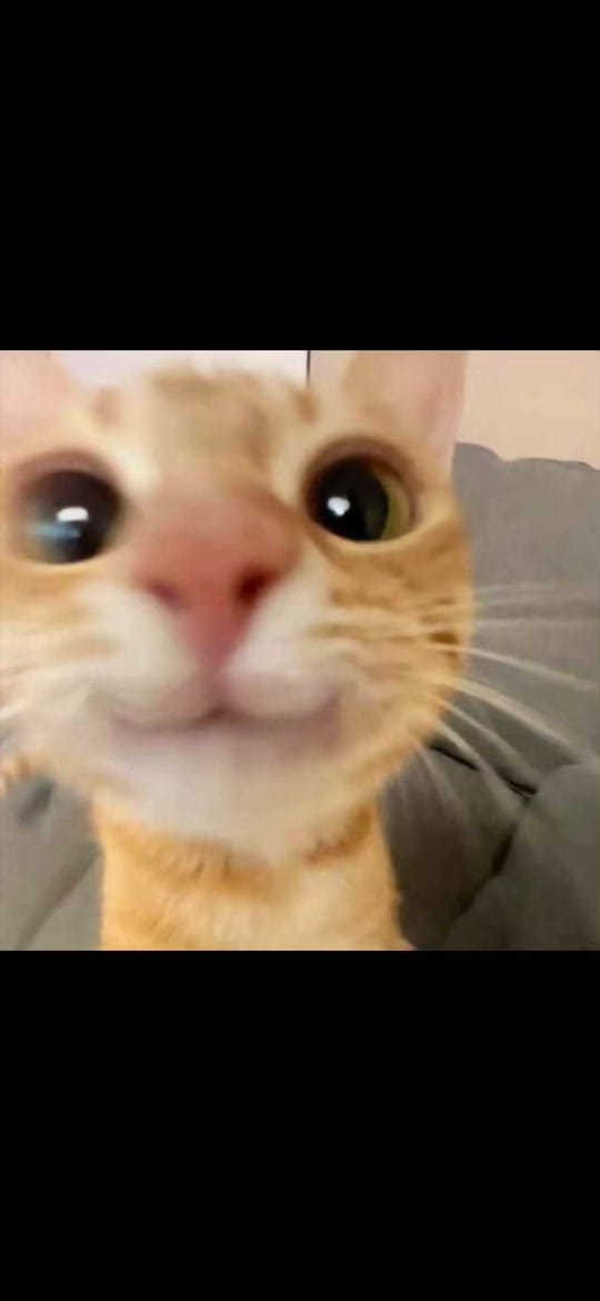 Post 2 by La casa de los gallos 🏠🐔 on TikTok (video)