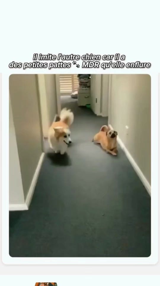 Post 7 by SC_MYTHIQUE on TikTok (video)