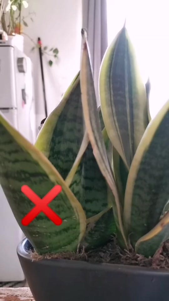 Post 3 by T_ony on TikTok (video)