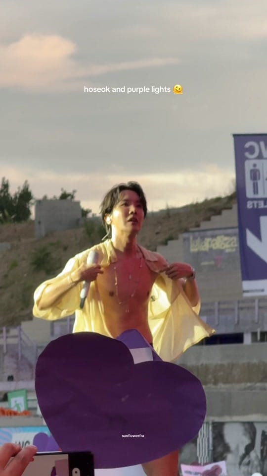 Post 6 by sunflowerfra on TikTok (video)