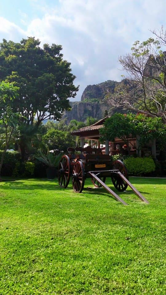 Post 2 by La Buena Vibra Wellness Resort on TikTok (video)