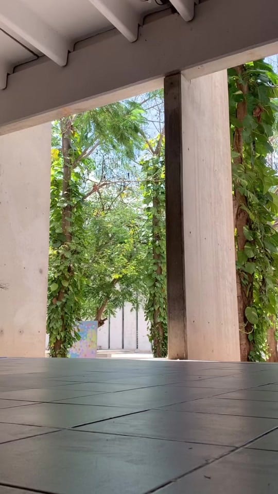 Post 8 by Vanelu_fisio on TikTok (video)