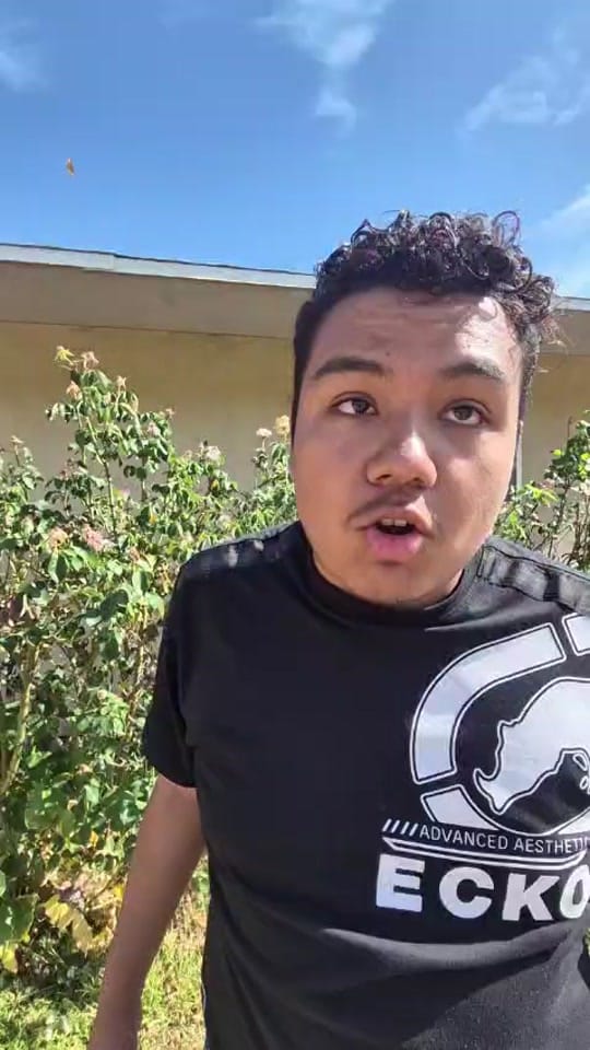 Post 8 by liloverdose2110 on TikTok (video)