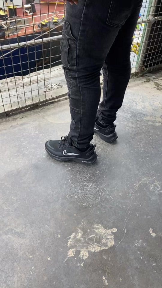 Post 3 by Professor Dogbo on TikTok (video)