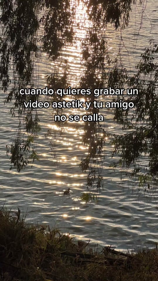 Post 7 by Alan Palacios on TikTok (video)