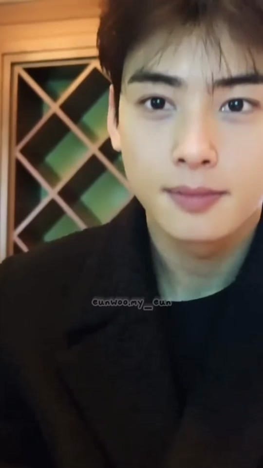 Post 1 by eunwoo.my_eun on TikTok (video)