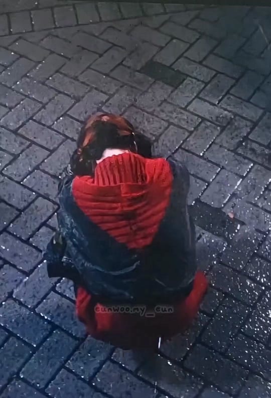 Post 5 by eunwoo.my_eun on TikTok (video)