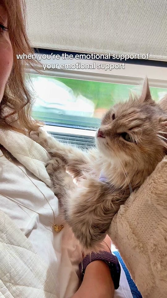 Post 9 by frenchy_siberian on TikTok (video)