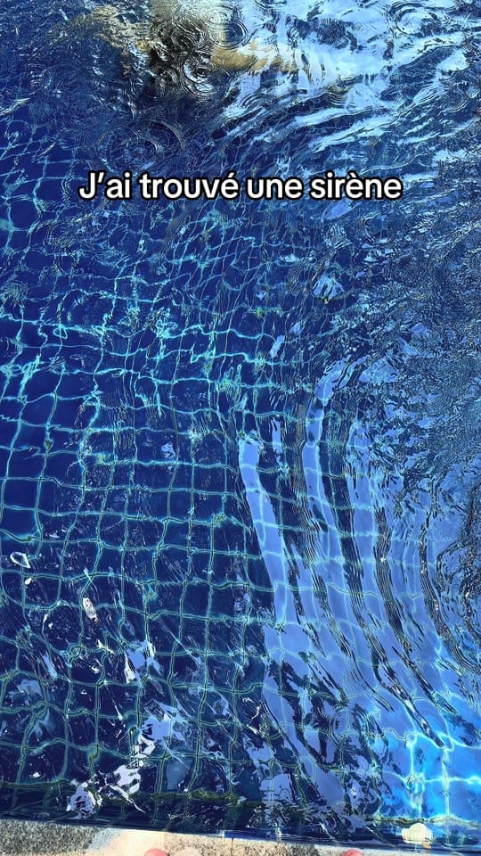 Post 4 by Mikoush on TikTok (video)