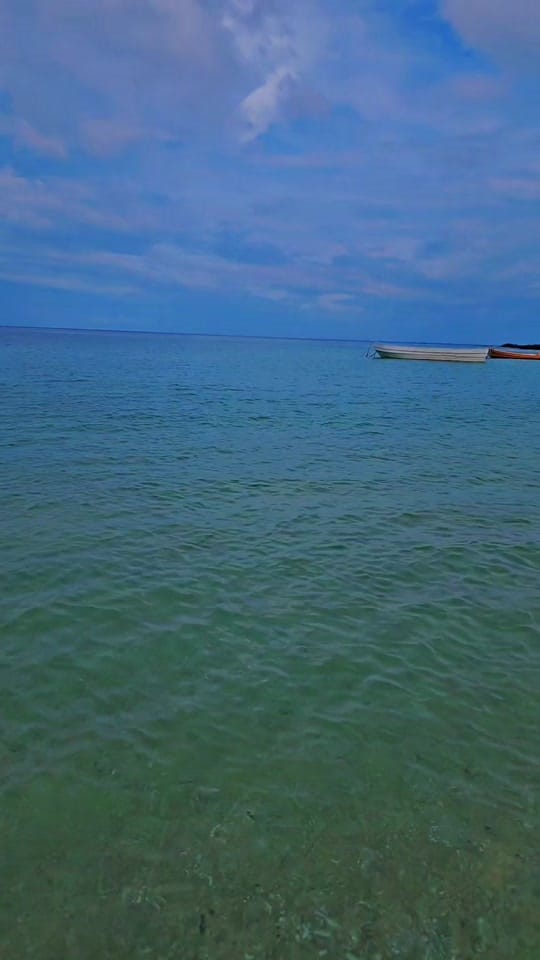 Post 6 by Mr Procureur on TikTok (video)