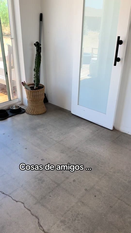 Post 6 by Michael Rubi on TikTok (video)
