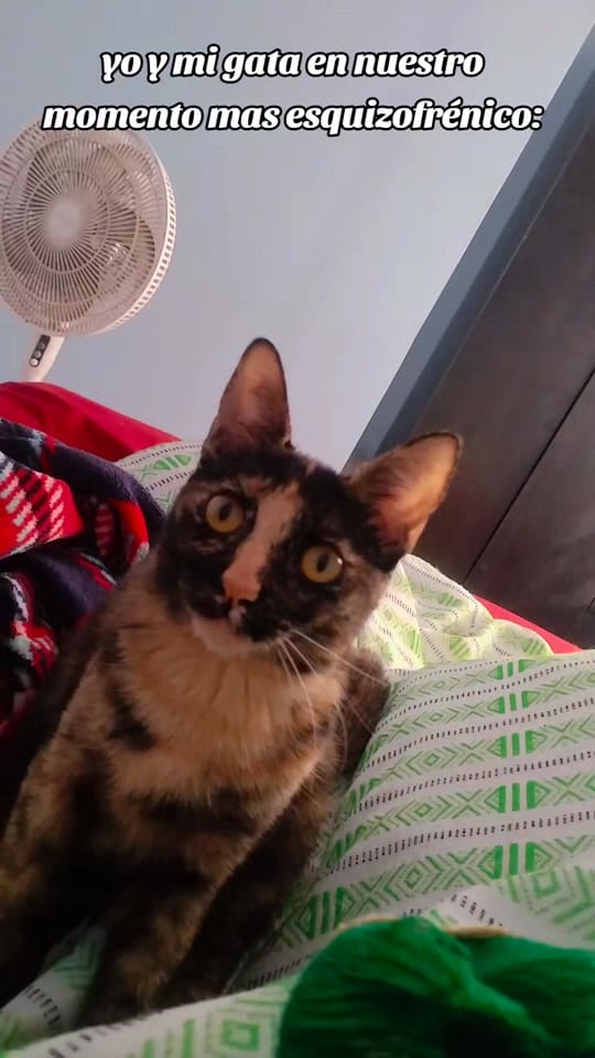 Post 3 by Ricardo Sanchez on TikTok (video)