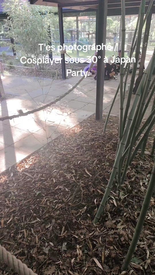 Post 1 by Steeve Li on TikTok (video)