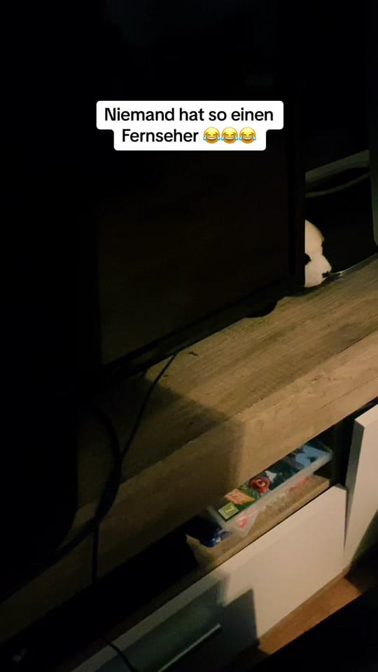 Post 9 by Lebomski on TikTok (video)