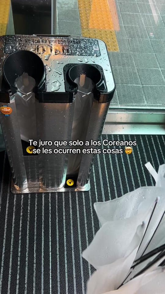 Post 5 by mya on TikTok (video)