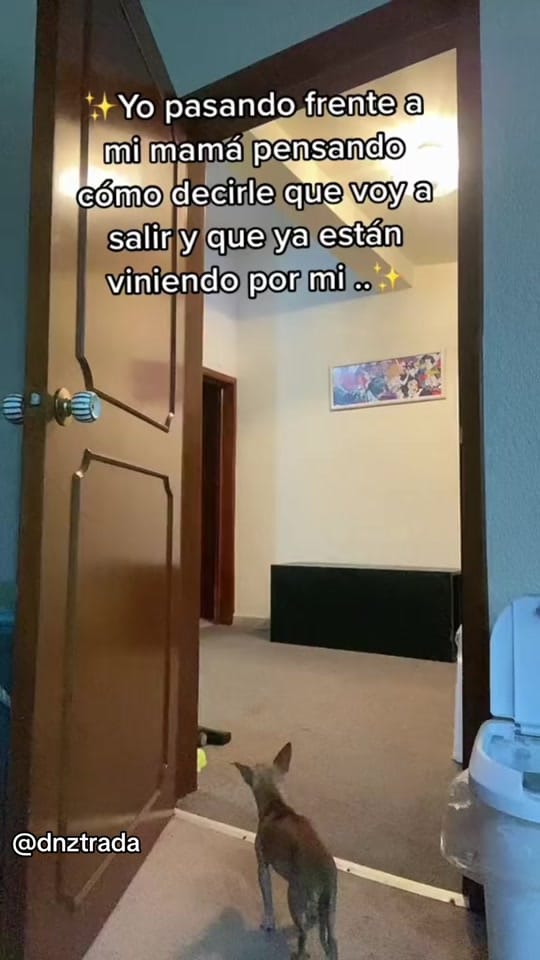 Post 3 by Dnztrada🥀 on TikTok (video)