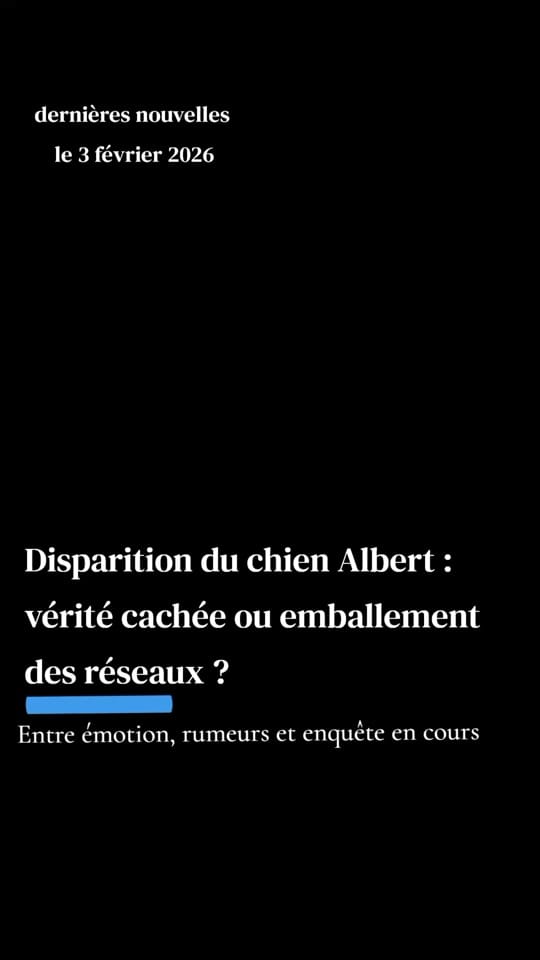 Post 8 by InfoFrance+ 🇨🇵 on TikTok (video)