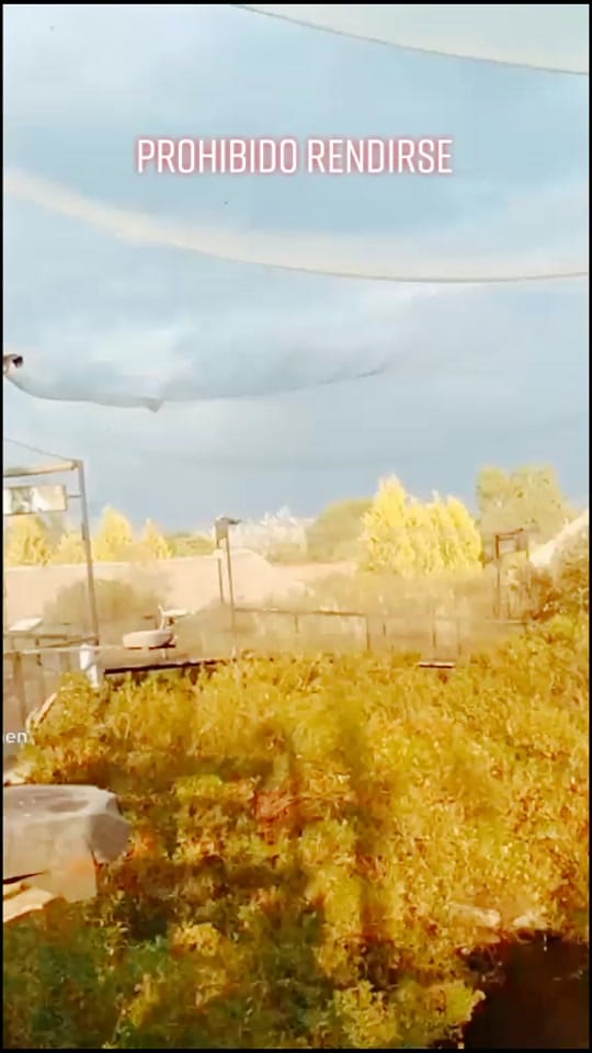 Post 9 by BF Alma de Puebla on TikTok (video)