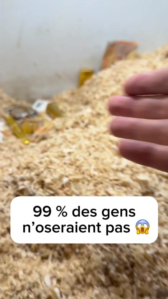 Post 5 by Princesse Ficelle- Artiste- on TikTok (video)