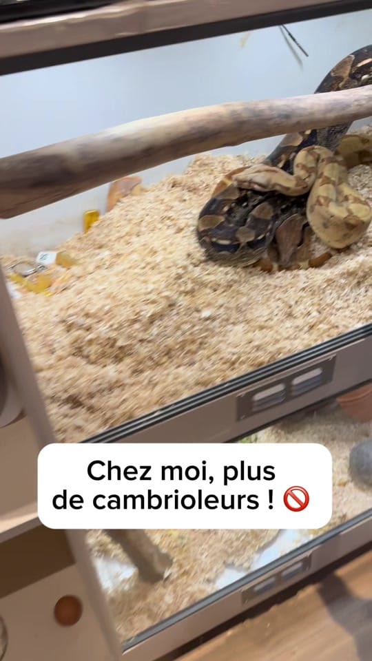 Post 8 by Princesse Ficelle- Artiste- on TikTok (video)