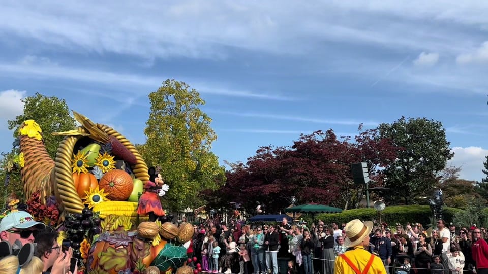 Post 6 by dlp_remember_the_magic on TikTok (video)