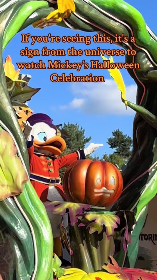 Post 2 by dlp_remember_the_magic on TikTok (video)