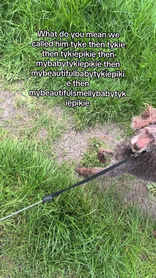 Post 3 by tillylouisefrance on TikTok (video)