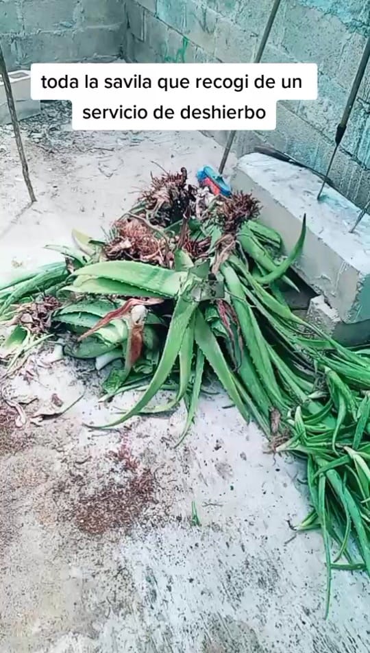 Post 10 by CR ☠🔥 on TikTok (video)