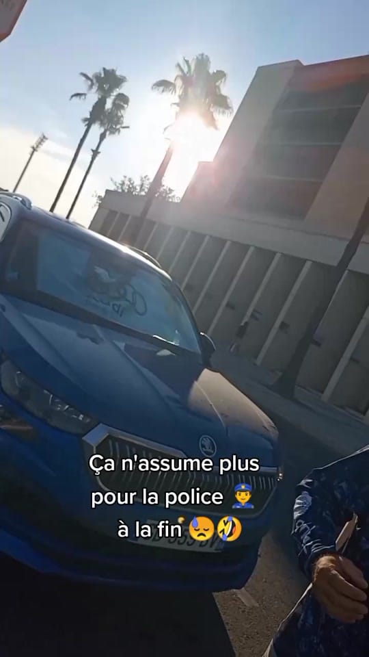 Post 3 by H29 on TikTok (video)