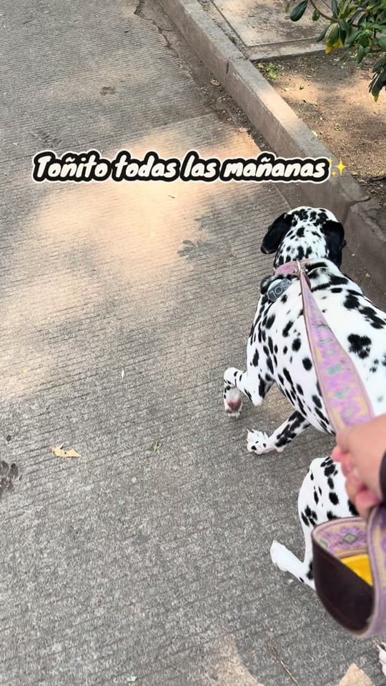 Post 2 by Ro on TikTok (video)