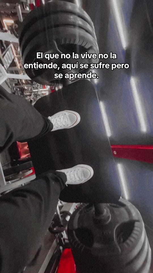 Post 3 by Luna Leon on TikTok (video)