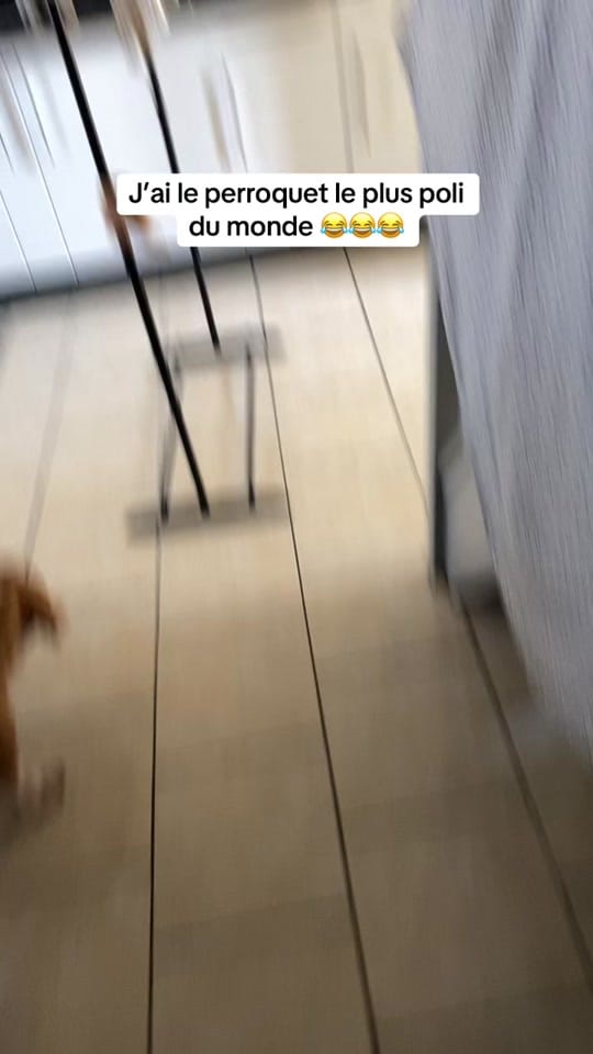 Post 2 by llebof15 on TikTok (video)