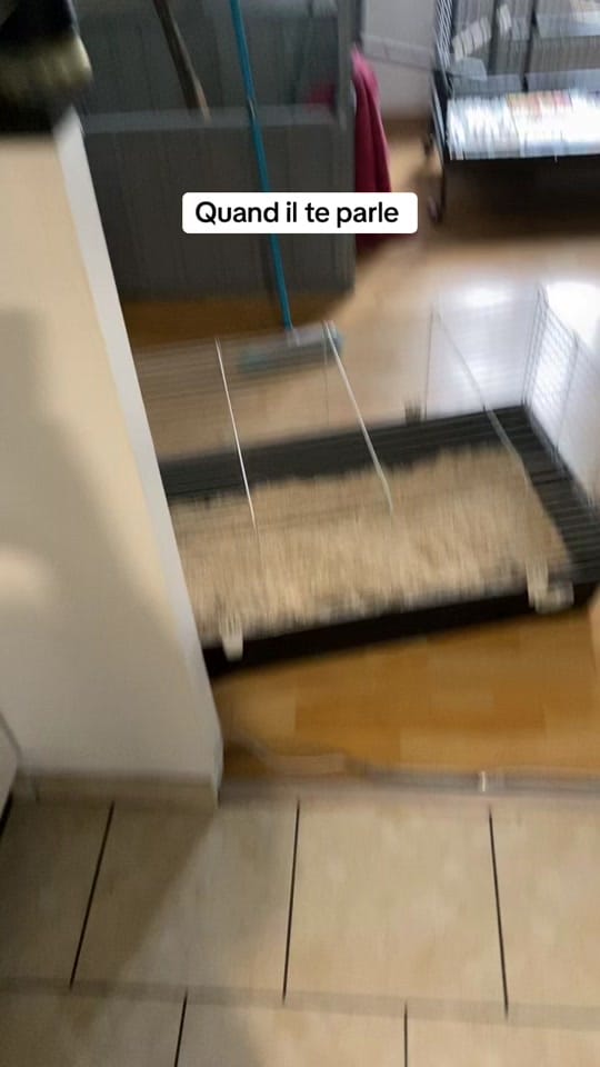 Post 3 by llebof15 on TikTok (video)