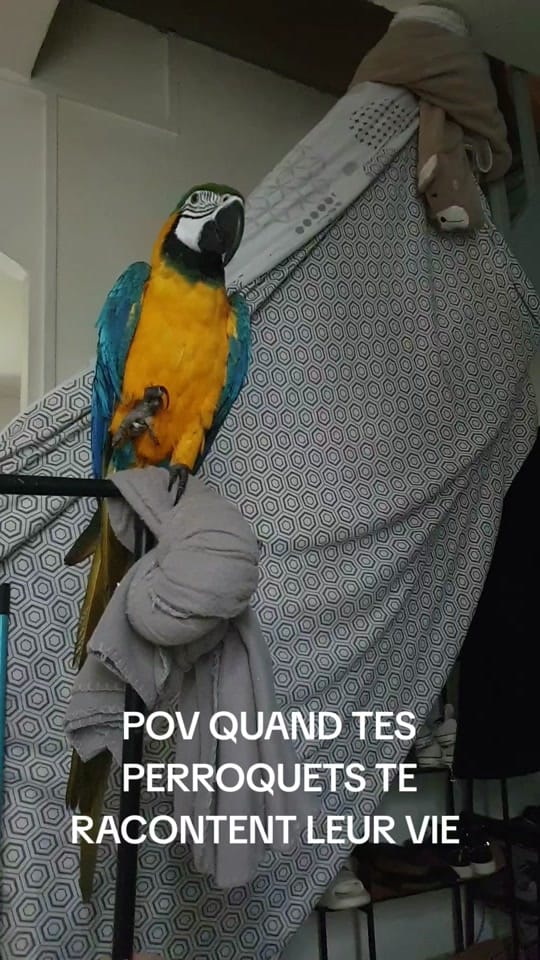 Post 6 by llebof15 on TikTok (video)