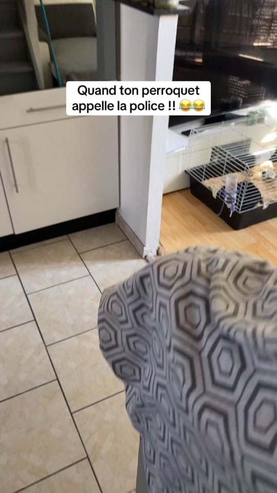 Post 1 by llebof15 on TikTok (video)