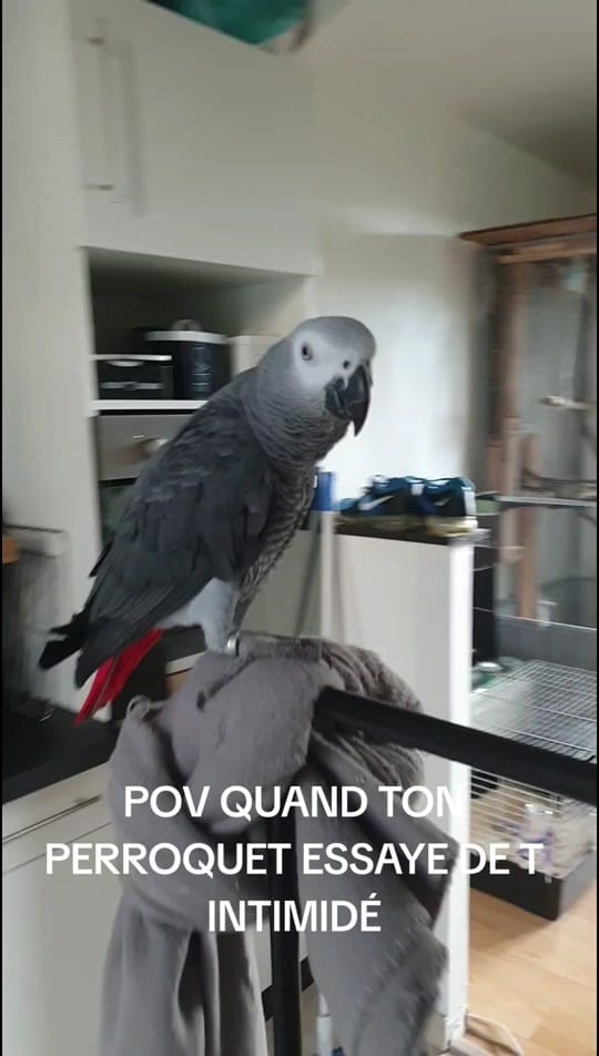 Post 7 by llebof15 on TikTok (video)