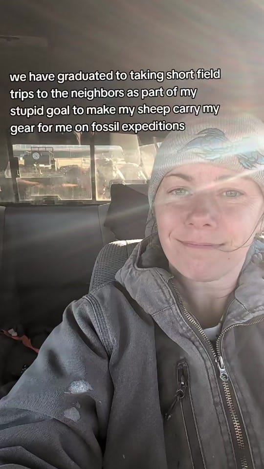 Post 7 by Dr. Meaghan Wetherell on TikTok (video)