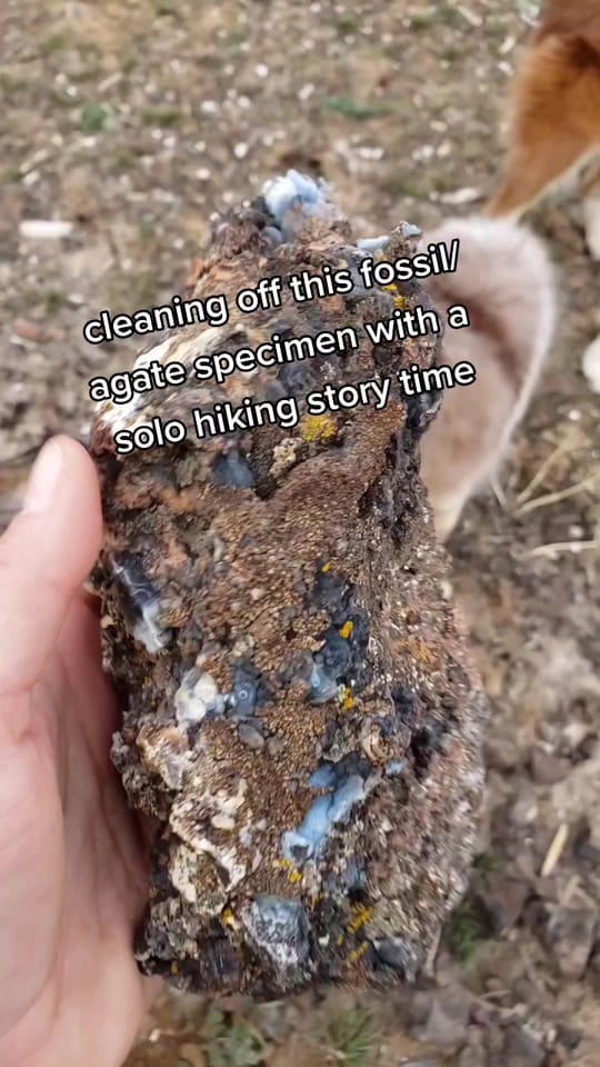 Post 10 by Dr. Meaghan Wetherell on TikTok (video)