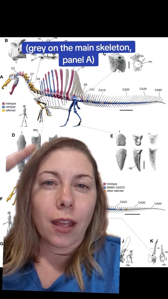 Post 8 by Dr. Meaghan Wetherell on TikTok (video)