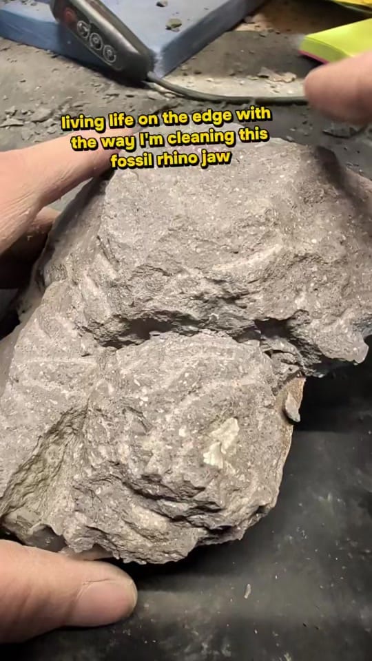 Post 2 by Dr. Meaghan Wetherell on TikTok (video)