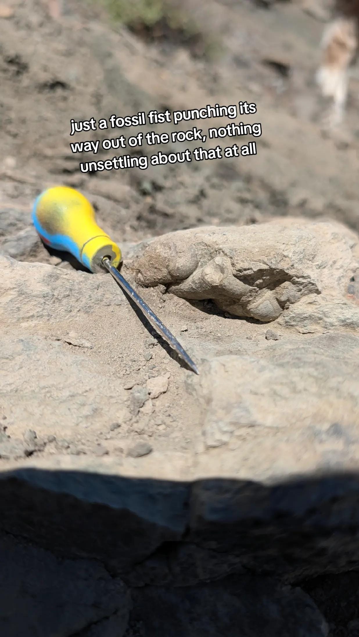 Post 5 by Dr. Meaghan Wetherell on TikTok (video)