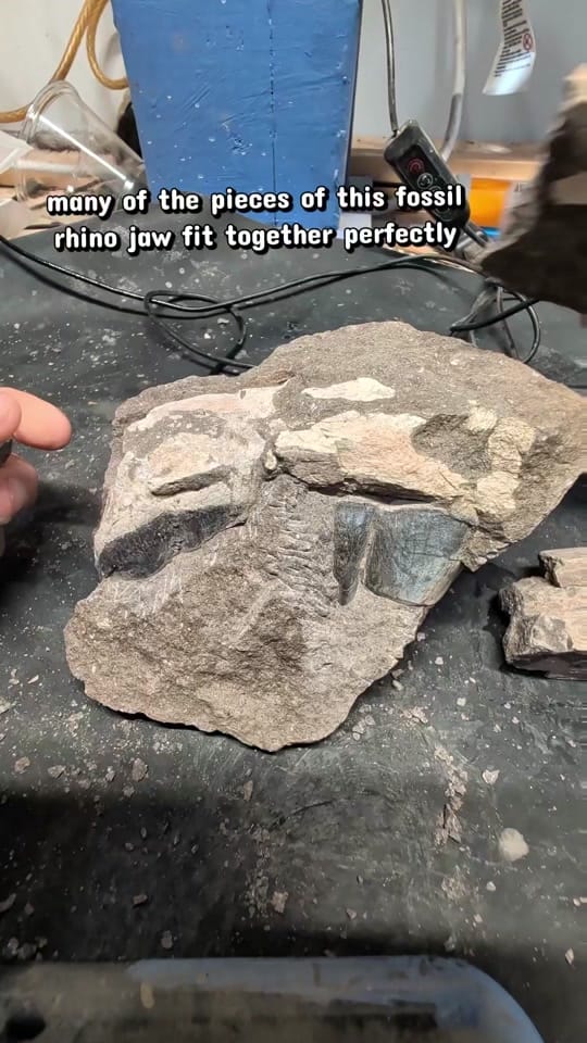 Post 6 by Dr. Meaghan Wetherell on TikTok (video)
